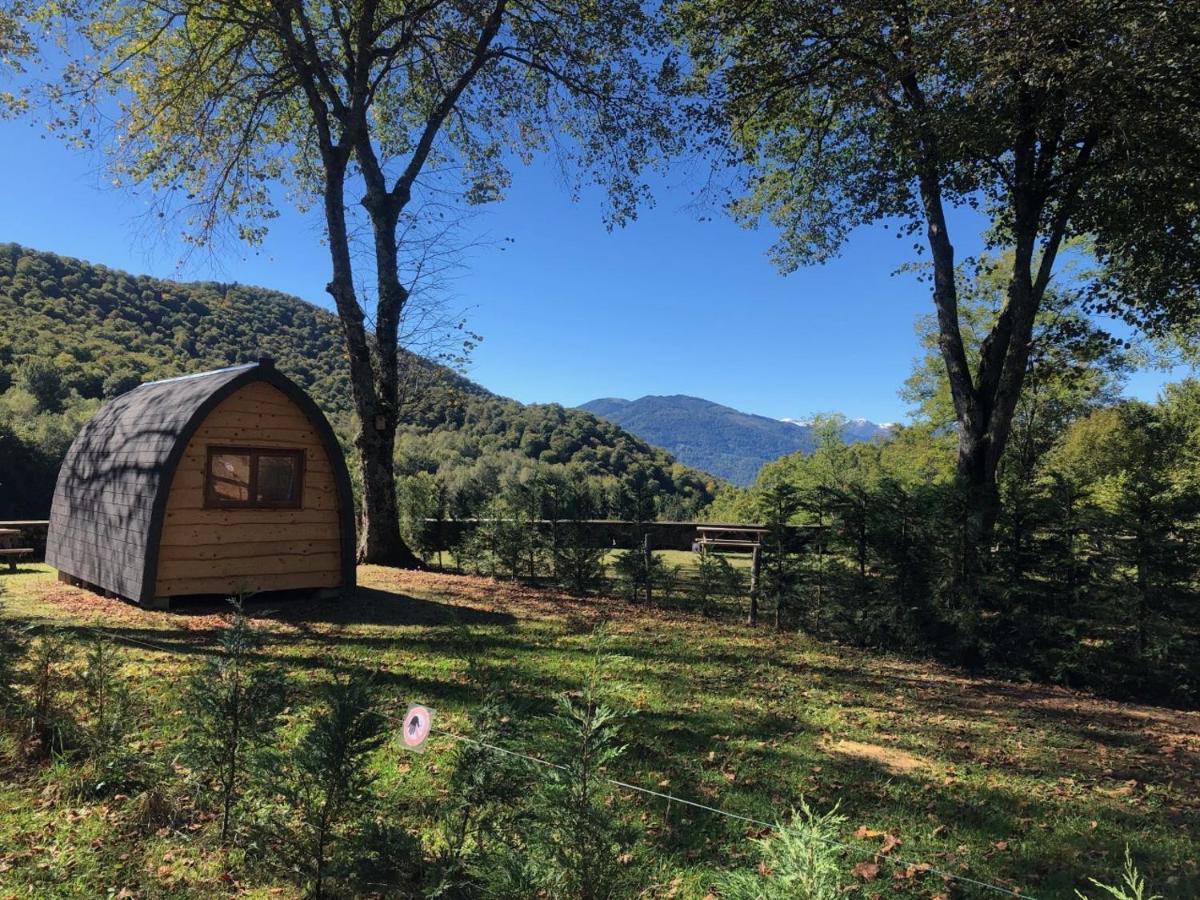 Pyrenees Emotions, Eco-Responsables, Nature, Sports Aventures Malvézie エクステリア 写真